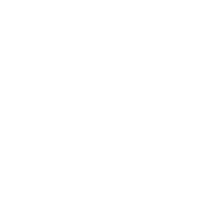 Vinodis